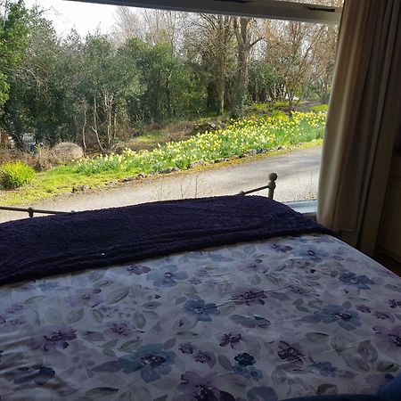 شقة Hollybanks Moycullen الغرفة الصورة