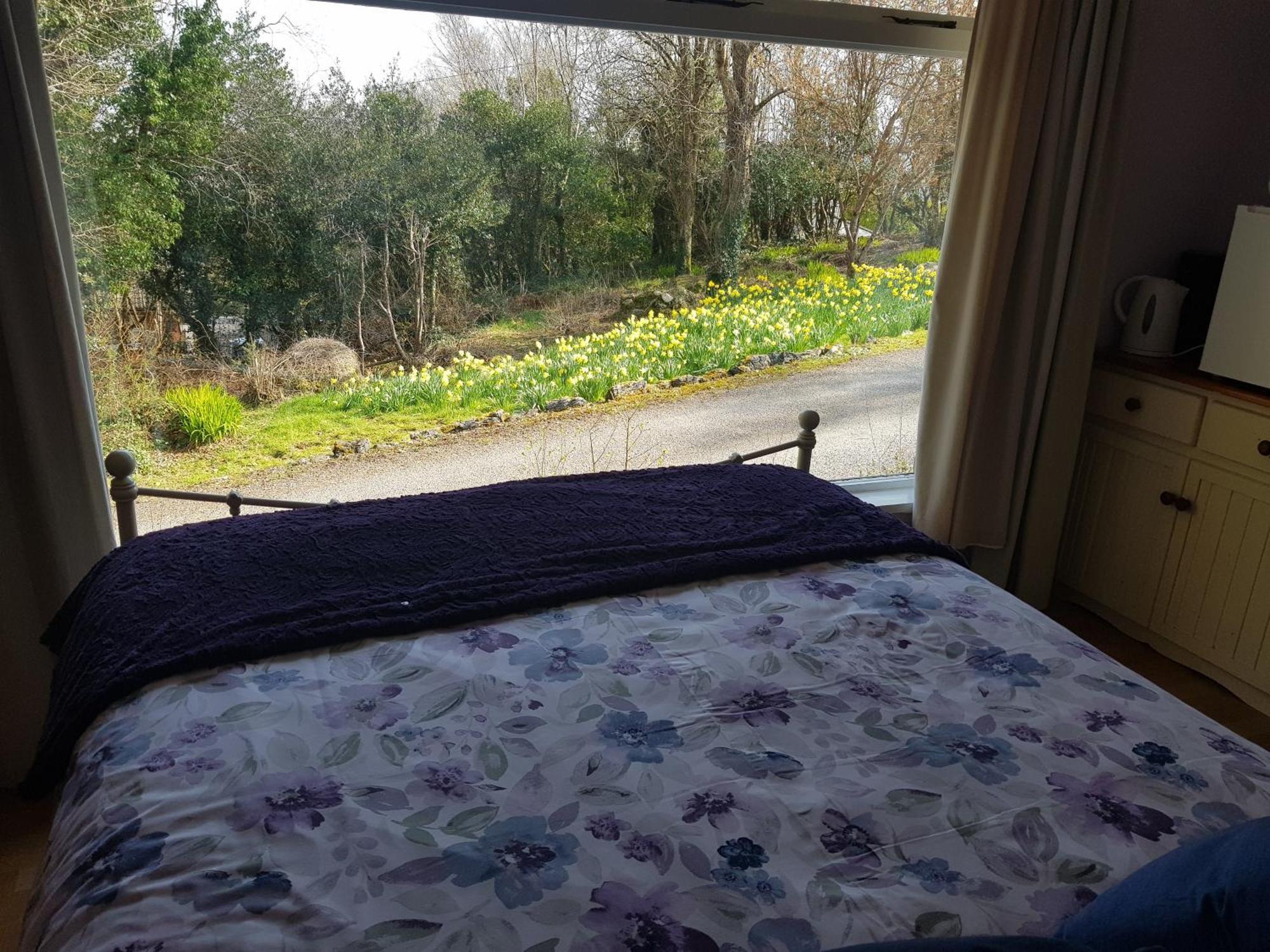 شقة Hollybanks Moycullen الغرفة الصورة